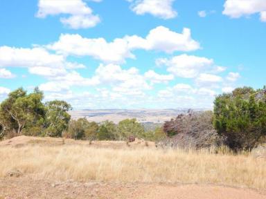 Other (Rural) For Sale - NSW - Cooma - 2630 - 52 HA , 129 Acres - Creek Location  (Image 2)