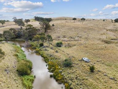 Lifestyle Sold - NSW - Yass River - 2582 - Most affordable 1.3km on the Yass River - Expression of Interest Closing Friday 28th April  (Image 2)