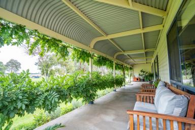 Lifestyle Sold - NSW - Cowra - 2794 - Immaculate Family Home, Set on 6.7acres* On The Outskirts of Town!  (Image 2)