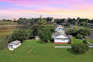 House Sold - NSW - Quirindi - 2343 - SPACIOUS HOME ON A LARGE BLOCK  (Image 2)