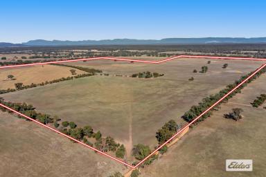 Other (Rural) Sold - VIC - Stawell - 3380 - Sheep, Cattle, Cropping, Passive Income - 420 Acres With An Architecturally Designed Home Just Minutes From Stawell.  (Image 2)
