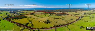 Livestock Sold - NSW - Bergalia - 2537 - Bergalia Park … 659 Acres    
Iconic Coastal Landmark.  (Image 2)