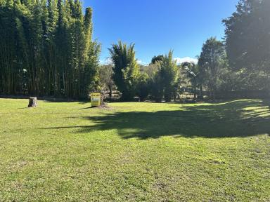 Residential Block For Sale - NSW - Boambee East - 2452 - Great Price - 1560m2 home site.  (Image 2)