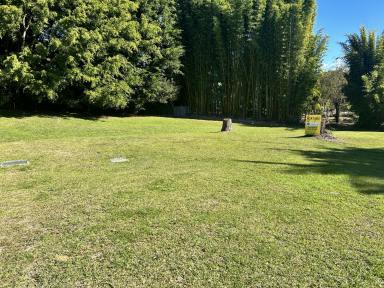 Residential Block For Sale - NSW - Boambee East - 2452 - Great Price - 1560m2 home site.  (Image 2)