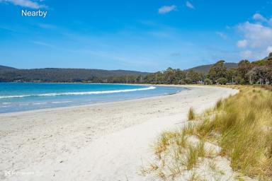 House For Sale - TAS - Adventure Bay - 7150 - Ocean View + 'A Stone's Throw' from Stunning Adventure Bay Beach!  (Image 2)