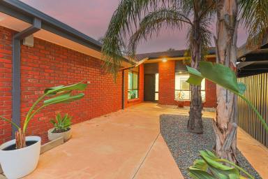 House Sold - VIC - Mildura - 3500 - The whole package!  (Image 2)