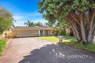 House Sold - WA - Ballajura - 6066 - Unbeatable Value and Potential  (Image 2)