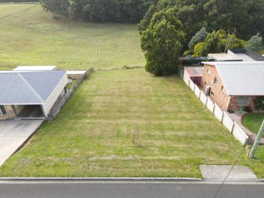 Residential Block For Sale - TAS - Smithton - 7330 - Ready for your dream home!  (Image 2)