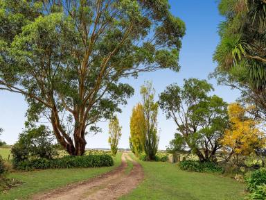 Mixed Farming Sold - VIC - Bessiebelle - 3304 - “Montrose” 60 Ac – 24.2 Ha *  (Image 2)