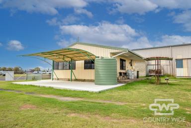 Industrial/Warehouse For Sale - NSW - Deepwater - 2371 - Industrially Zoned Shed & Office  (Image 2)