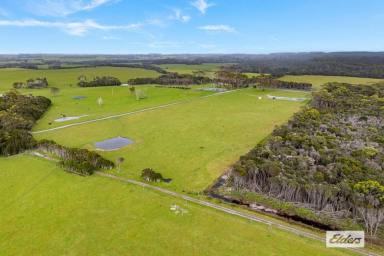 Livestock Auction - TAS - Naracoopa - 7256 - EXCEPTIONAL WATERFRONT GRAZING PROPERTY ON MILLWOOD ROAD, NARACOOPA  (Image 2)