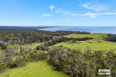 Livestock Auction - TAS - Naracoopa - 7256 - EXCEPTIONAL WATERFRONT GRAZING PROPERTY ON MILLWOOD ROAD, NARACOOPA  (Image 2)