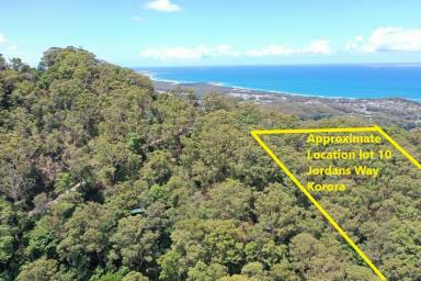 Residential Block Sold - NSW - Korora - 2450 - Vacant Land/Unique 2.17 ha Rainforest  (Image 2)