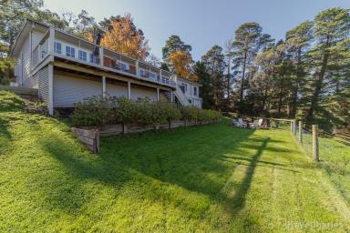 Acreage/Semi-rural Leased - VIC - Beaconsfield Upper - 3808 - 12 MONTH LEASE 
THE PERFECT BALANCE IN THE HEART OF TOWN  (Image 2)