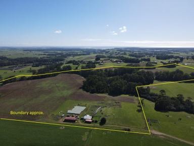 Cropping For Sale - TAS - Scotchtown - 7330 - Rural Lifestyle Property  (Image 2)