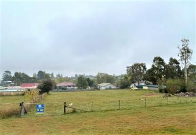 Residential Block Sold - NSW - Nimmitabel - 2631 - Big, Quiet Village Block  (Image 2)