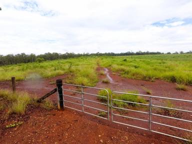 Other (Rural) Sold - QLD - Owanyilla - 4650 - Quality Farming or Grazing Land  (Image 2)