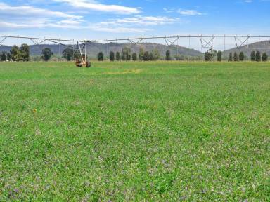 Mixed Farming Sold - NSW - Condobolin - 2877 - First-Class Irrigation, Dryland Cropping and Grazing  (Image 2)