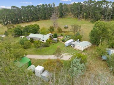 House Sold - NSW - Sutton - 2620 - Vendors bought at Coast ... Need to sell after 26 years  (Image 2)