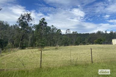 Other (Rural) Auction - NSW - Nymboida - 2460 - MUST BE SOLD AT AUCTION  (Image 2)