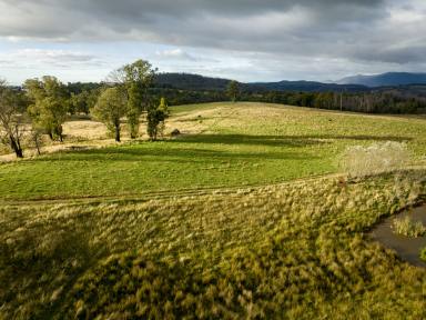 Mixed Farming For Sale - NSW - Batlow - 2730 - Exclusive Rural Lifestyle with Stunning Snowy Views  (Image 2)