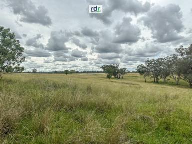Mixed Farming Sold - NSW - Inverell - 2360 - NOOROOK  (Image 2)
