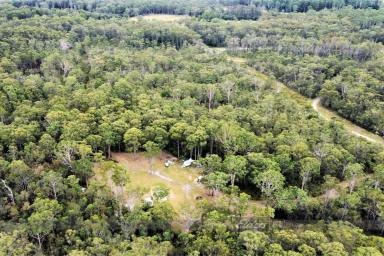 Residential Block Sold - NSW - Boolambayte - 2423 - BE YOUR OWN BOSS AT BOOLAMBAYTE!  (Image 2)