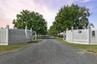 Lifestyle Sold - QLD - Westbrook - 4350 - Your Rural Lifestyle Awaits... Welcome to "Middle Walk"  (Image 2)