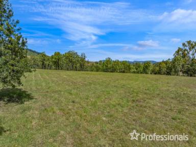 Other (Rural) Sold - QLD - Glastonbury - 4570 - Rural Land With Creek Frontage  (Image 2)