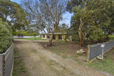 House Sold - SA - Penola - 5277 - Solid investment with subdivision potential (STCA)  (Image 2)