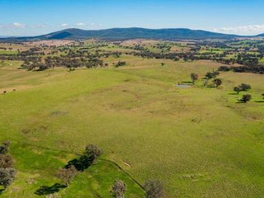 Mixed Farming Sold - NSW - Cootamundra - 2590 - Gilgal  (Image 2)