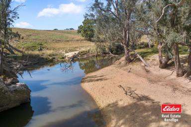 Other (Rural) For Sale - VIC - Redesdale - 3444 - Private Retreat Along the Coliban River – 111 Acres  (Image 2)