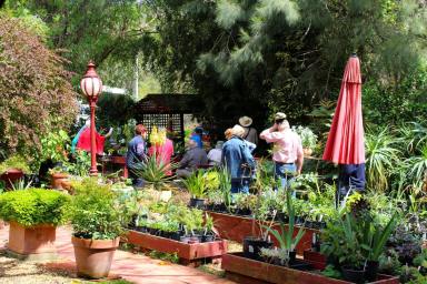 Other (Commercial) For Sale - VIC - Chiltern - 3683 - OUT OF TOWN NURSERY & HUMMING GARDEN  (Image 2)