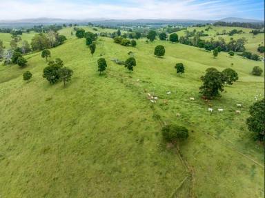 Other (Rural) For Sale - QLD - Veteran - 4570 - 152 ACRES 4 TITLES  (Image 2)