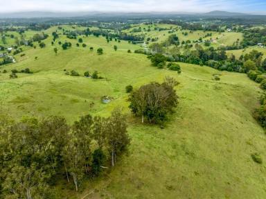 Residential Block For Sale - QLD - Veteran - 4570 - 152 ACRES 4 TITLES  (Image 2)