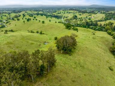 Other (Rural) For Sale - QLD - Veteran - 4570 - 152 ACRES 4 TITLES  (Image 2)