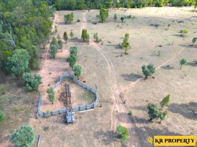 Mixed Farming Sold - NSW - Pilliga - 2388 - PROMISING OPPORTUNITY  (Image 2)