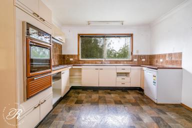 House Sold - NSW - Bulahdelah - 2423 - Renovation Ready!  (Image 2)