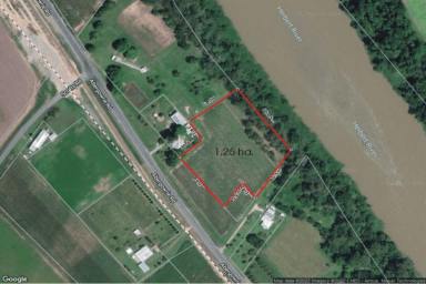 Lifestyle For Sale - QLD - Long Pocket - 4850 - 1.25 HECTARE (OVER 3 ACRE) PROPERTY WEST OF INGHAM!  (Image 2)