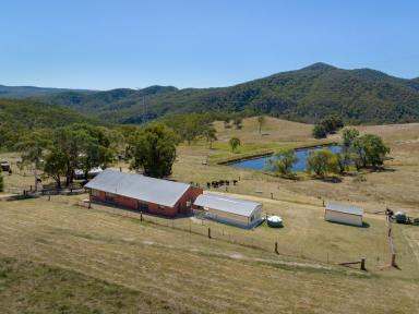 Other (Rural) Sold - NSW - South Bowenfels - 2790 - Picturesque rural lifestyle on the edge of the Blue Mountains  (Image 2)