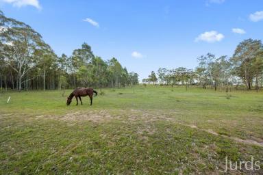 Lifestyle For Sale - NSW - Pokolbin - 2320 - BLANK CANVAS ON HERMITAGE ROAD (Image 2)
