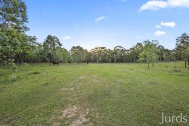 Lifestyle For Sale - NSW - Pokolbin - 2320 - BLANK CANVAS ON HERMITAGE ROAD (Image 2)