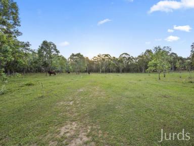 Lifestyle For Sale - NSW - Pokolbin - 2320 - BLANK CANVAS ON HERMITAGE ROAD  (Image 2)