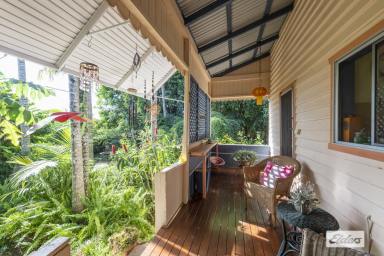 House Auction - NSW - Grafton - 2460 - JUST MAGIC - A CHARMING HOME AND RAINFOREST IN TOWN  (Image 2)