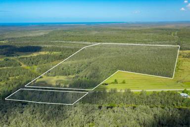 Residential Block Sold - NSW - Crescent Head - 2440 - 116 - Acres Ripe with Opportunity-10-minutes to Beach  (Image 2)