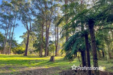 Residential Block Sold - VIC - Warburton - 3799 - A RARE FIND  (Image 2)