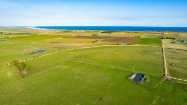 Lifestyle Sold - VIC - Killarney - 3283 - THE BULLOCK PADDOCK – PRIME CATTLE COUNTRY  (Image 2)