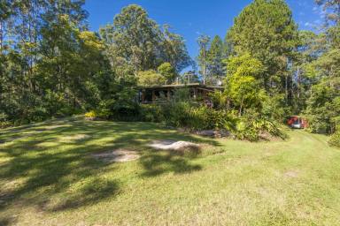 House Sold - NSW - Mount Burrell - 2484 - 'The Glen" - Family Home In Tranquil Setting.  (Image 2)