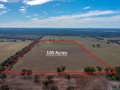 Residential Block Sold - VIC - Norong - 3682 - Lifestyle along with quality mixed farming opportunity 
40Ha - 100 Acres  (Image 2)