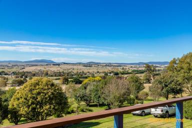 House For Sale - NSW - Braidwood - 2622 - Views to the Horizon!  (Image 2)